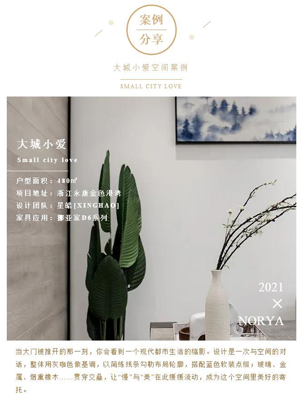 案例分享 | 挪亚家·小城大爱：现代都市生活家